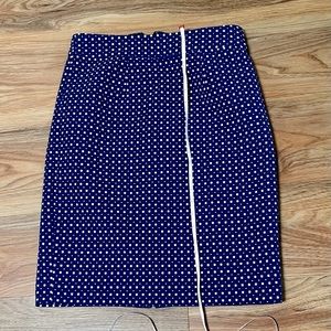 Banana Republic Blue Skirt